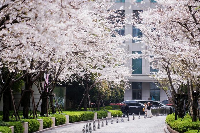 ӣ����ѩ���������Ϻ�������ֵ���á�����������